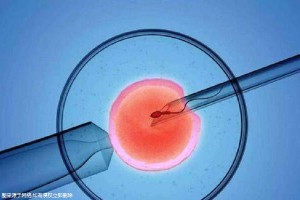 关于试管代怀公司